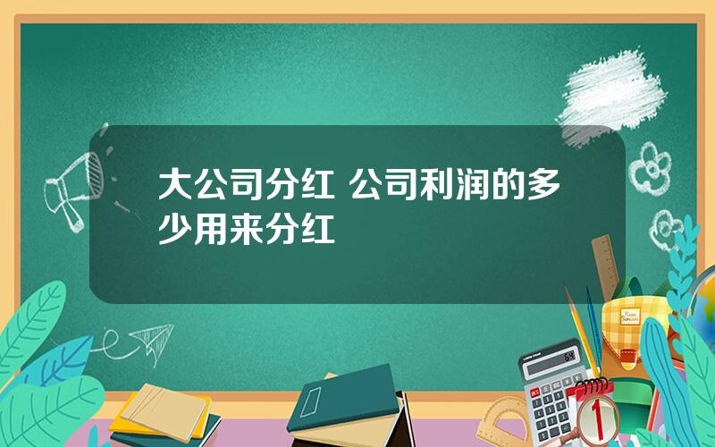 大公司分红 公司利润的多少用来分红